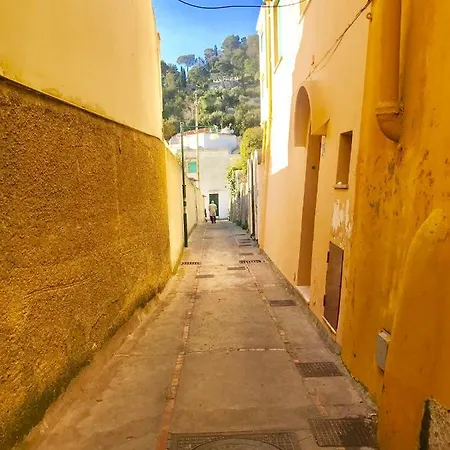 Abate Luxury By Caprirooms Appartamento